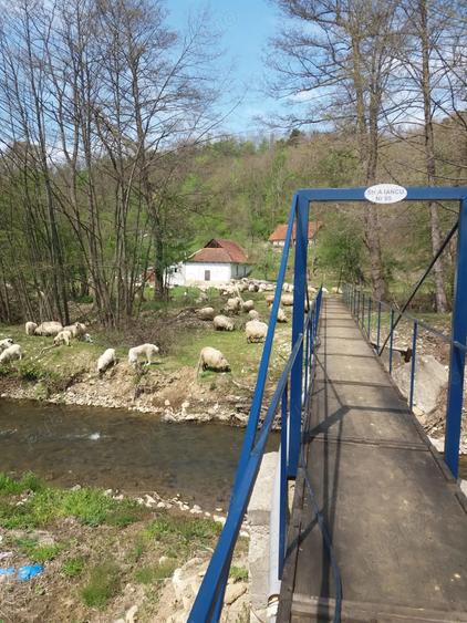 Casa cu teren foarte mare in Halmagiu - 6