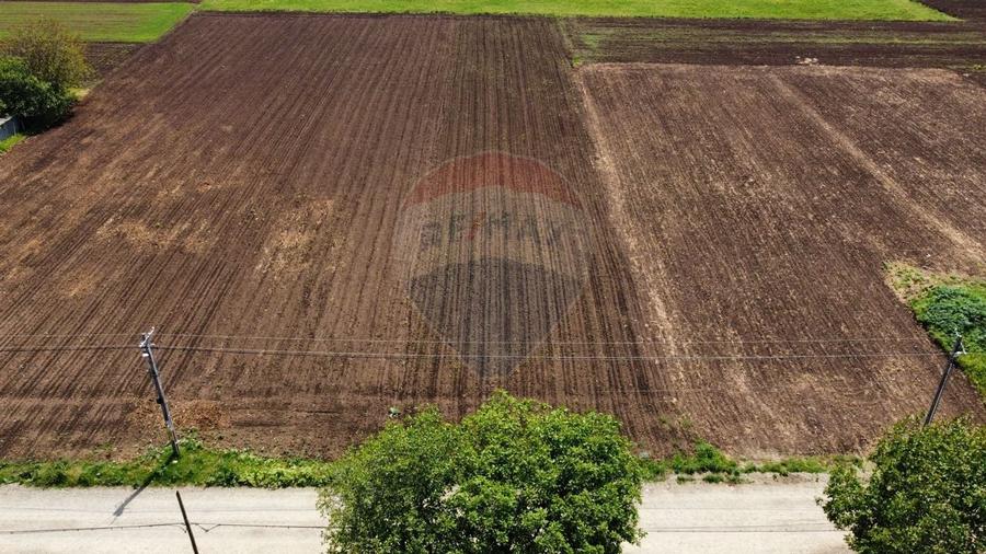 Teren Tifesti / Strada Secundara 47 - 7