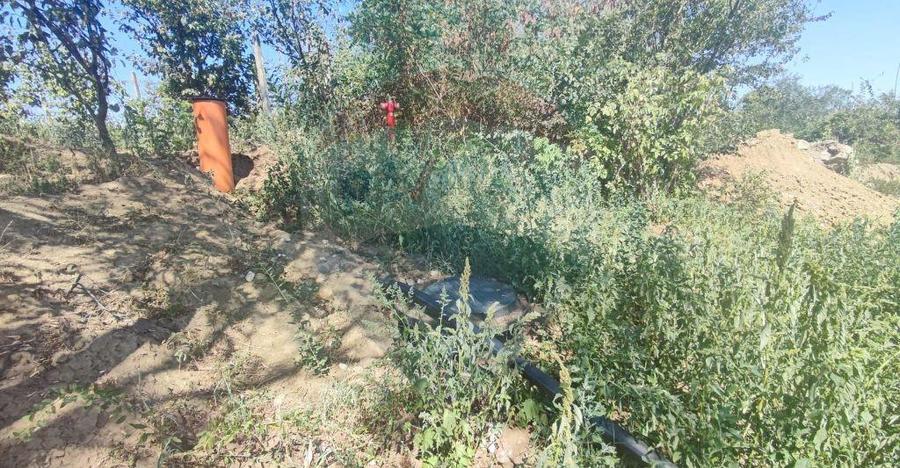 Loc de casa si teren cultivat cu vita de vie 1,28 Ha Sant... - 14