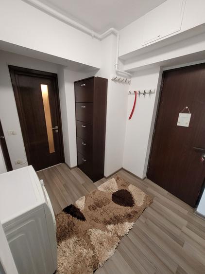 Apartament 2 camere de inchiriat la Casa de Cultura - 8