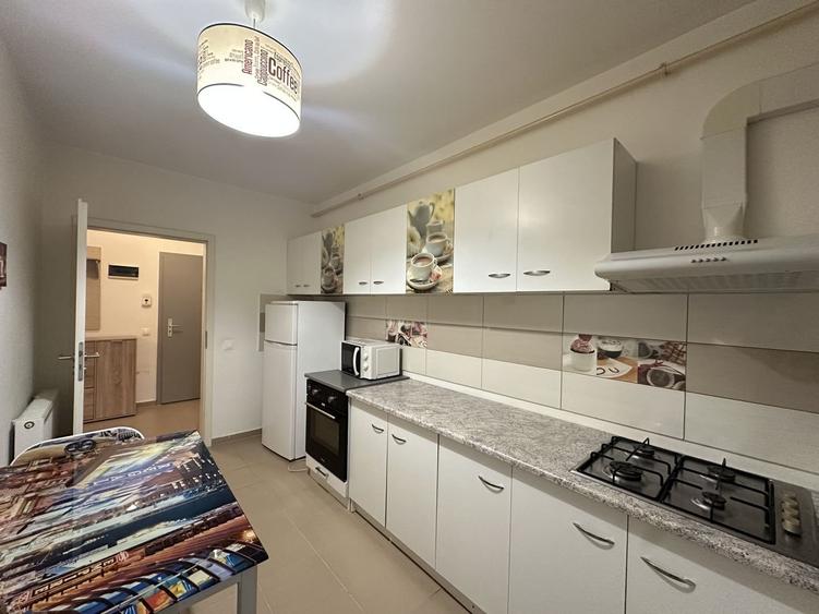 Inchiriem apartament 2 camere modern Avantgarden 3 - 13