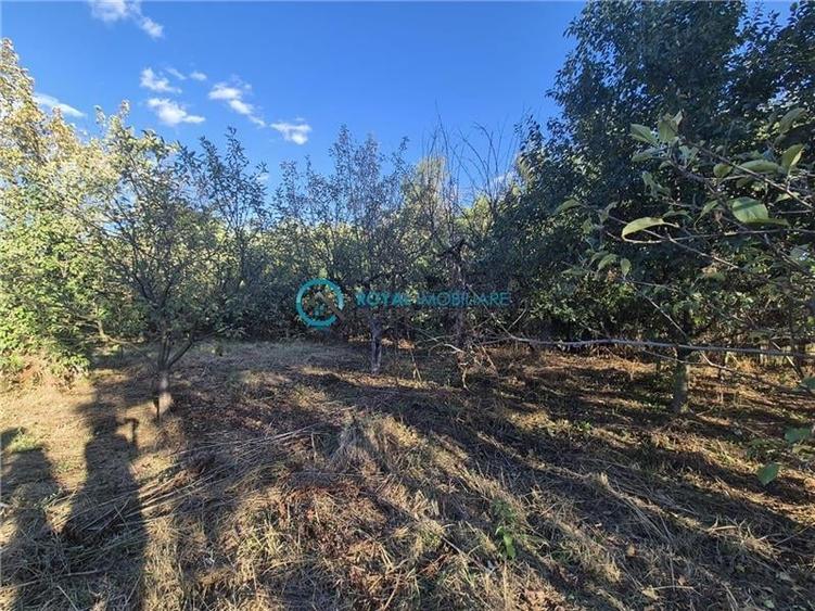 Royal Imobiliare - Vanzare Vila Zona Paulesti - Gageni - 42