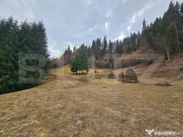 Teren extravilan 11.480 mp cu poten?ial intravilan Tra - 2