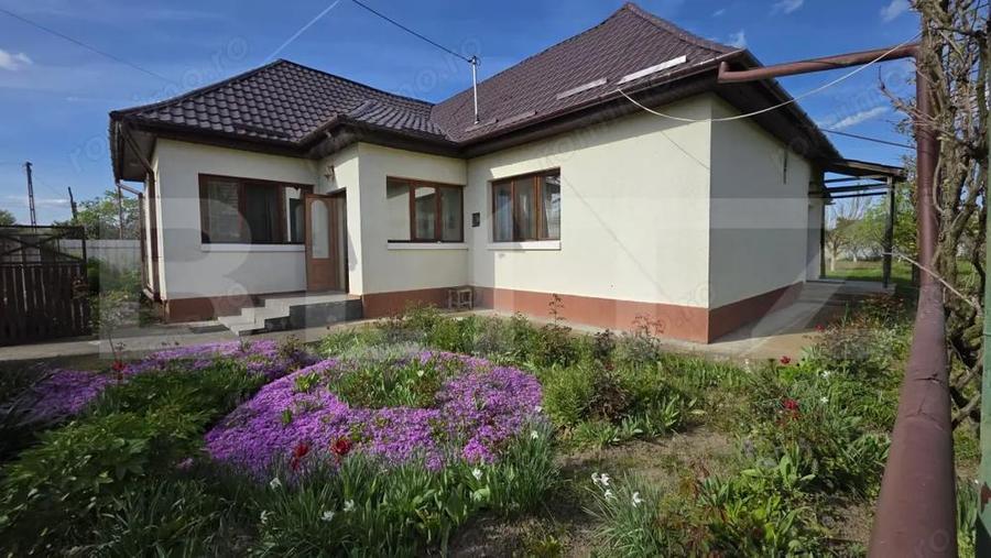 Teren cu Casa de Vanzare in Ungheni - 1
