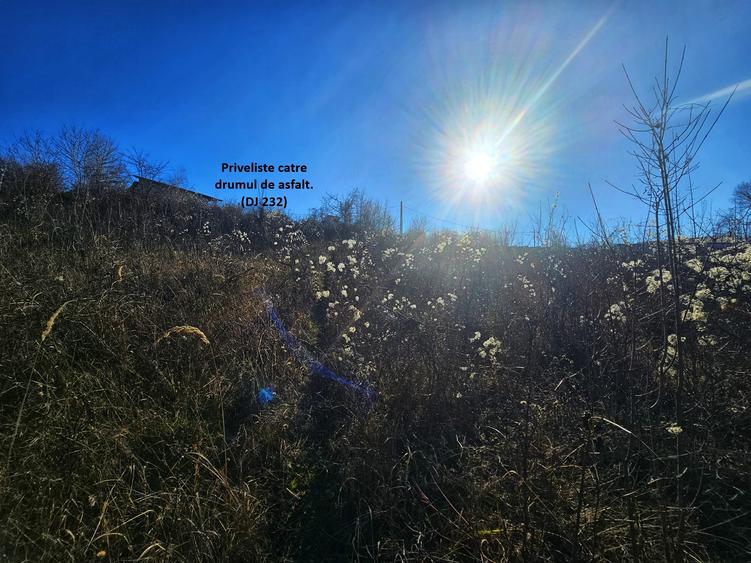 Teren intravilan 2.000 mp – Seciu, 2 deschideri, Priveliște panoramica - 2