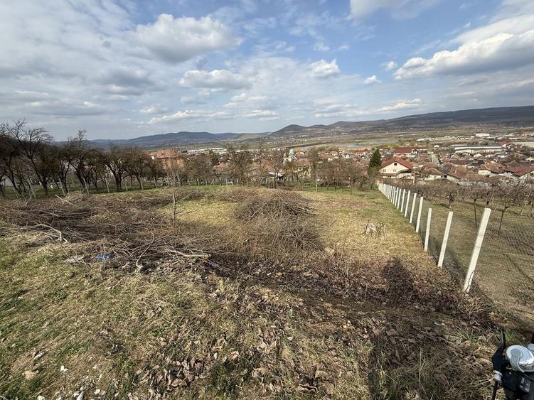 Casa Helvetica Aiud - 3