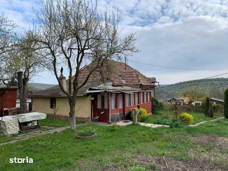 Casa la tara cu teren 2700 MP - 4