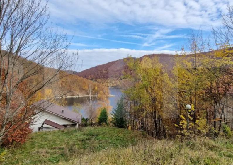 Teren extravilan 1200 mp, cu cabana, Tarnita, iesire la lac! - 7
