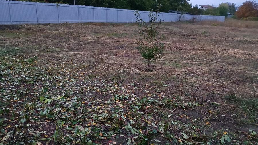 Teren intravilan in comuna Cîrligele jud Vrancea cu suprafață de 750mp Teren intravilan in comuna Cîrligele jud Vrancea cu suprafață de 750mp