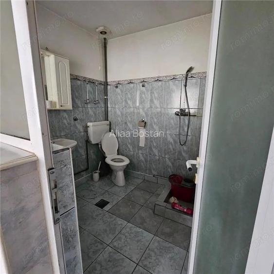 Doua case vecine, cu vad, in Bucure #537;ti, Tineretului, Parcul Carol