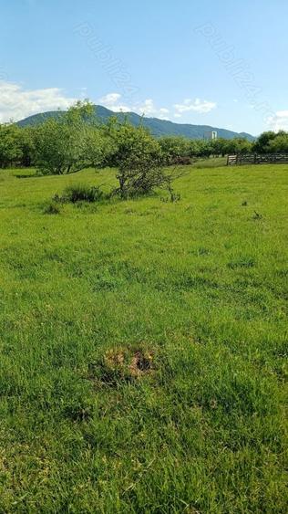 REDUCERE DE PRET! Teren in zona Sub Dura ,40 ari pentru constructii industriale - 3