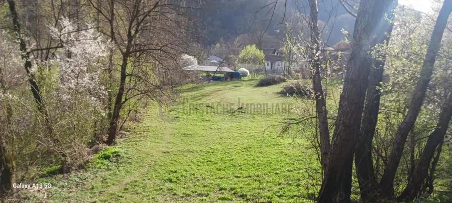Teren in Comuna Muereasca_suprafata 7489 mp_mixt_situat la 170 m de Primarie - 2