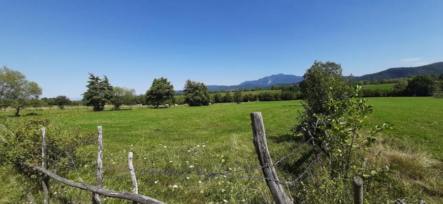 Teren Bran - Sohodol - 3