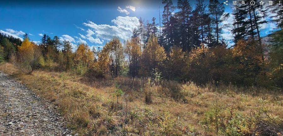 Teren Sinaia/Cumpatu - 4