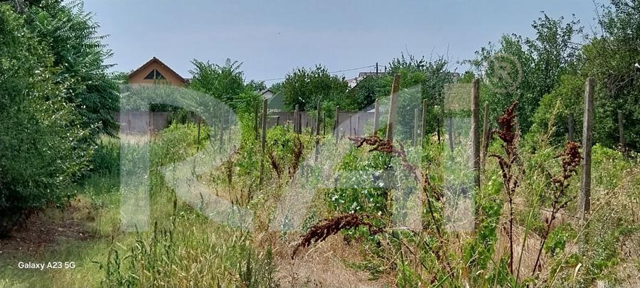 BOMBĂ! Investitie geniala: teren intre case, la doar 22 €/m² | 17 km de Craiova - 5