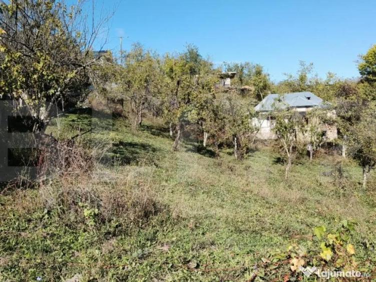 Teren cu priveli?te superba , livada ?i poten?ial casu? - 9