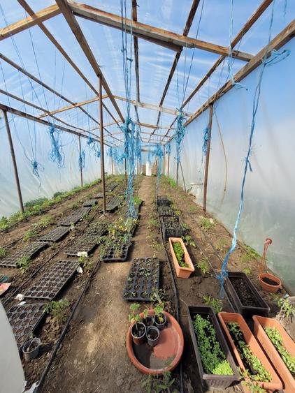 Fermă de vânzare - DN3 - 84m deschidere - 16