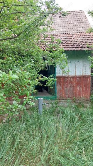 Vand casa cu teren Socodor , jud.Arad - 4