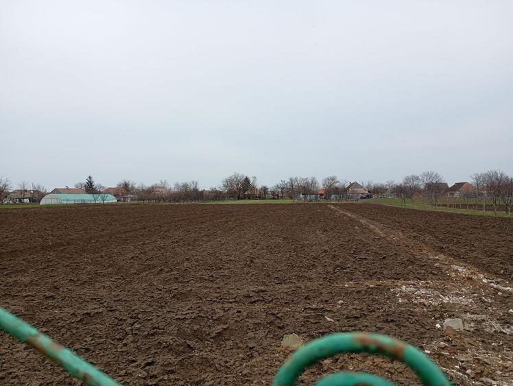 Casa Individuala Suprafete Generoase, Teren Mare, La Rosu - 6