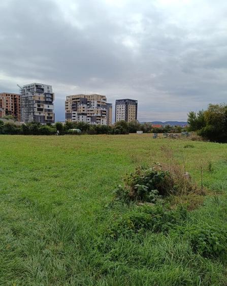 Teren intravilan 8000 mp , DR.D.Vechi - 7