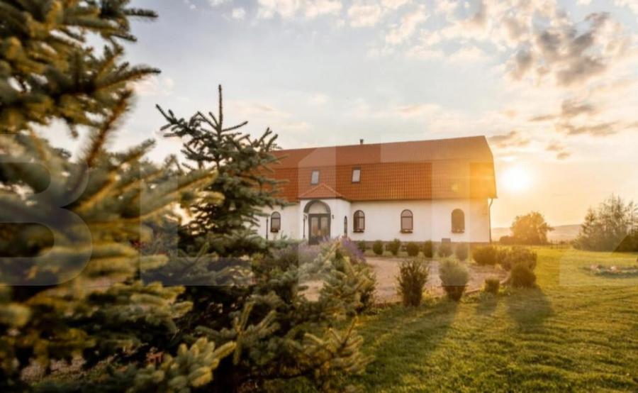 Conac de vanzare 7 camere cu bai proprii, crama, ciubar ? - 12