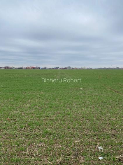 De Vanzare Teren Bragadiru|10.000 Mp|Plan Disponibil Case Insiruite|10 Loturi