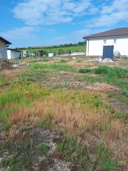 Loturi de teren intravilan, 413 mp, Chitorani, Prahova Loturi de teren intravilan, 413 mp, Chitorani, Prahova