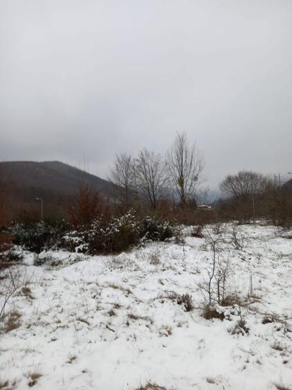 Vand teren transfagaras cartisoara - 1