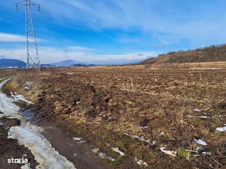Teren extravilan locatie excelenta, proprietar, multiple posibilitati - 7