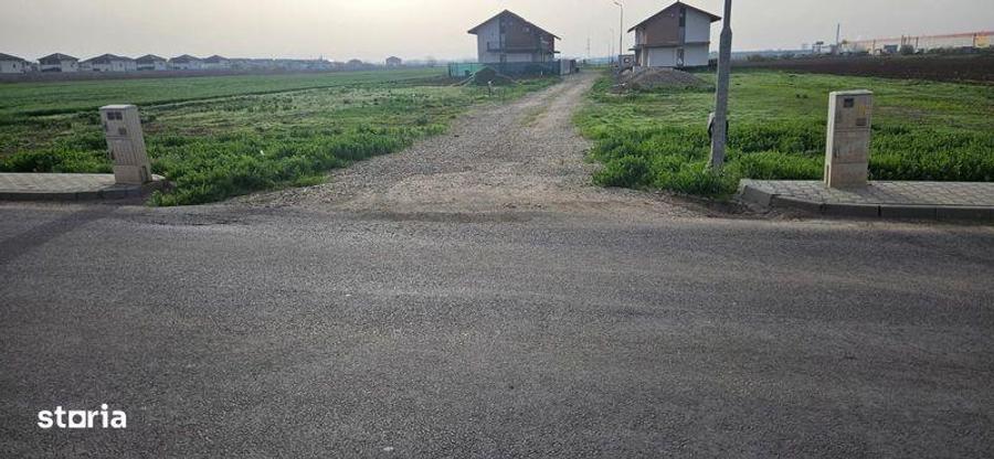 Teren Dragomiresti - 3