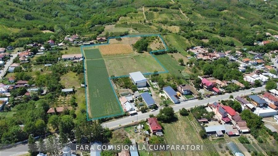 OPORTUNITATE UNICA IN DOMENIUL VITICOL - 13