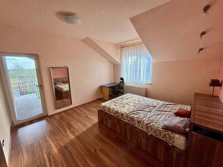 Casa Sinandrei Timis - 9