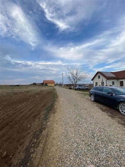 RECO Teren intravilan Biharia - 3