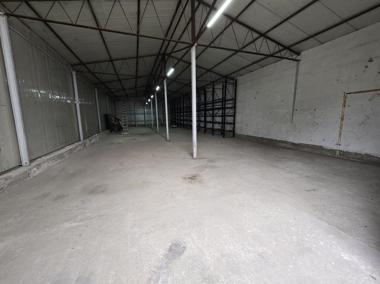 Hale cu suprafatade  220 mp si 440 mp zona Ambient - 10