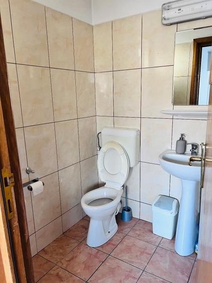 Casa închiriere Banatului 91, stradal, central, particular, pretabil birouri - 7