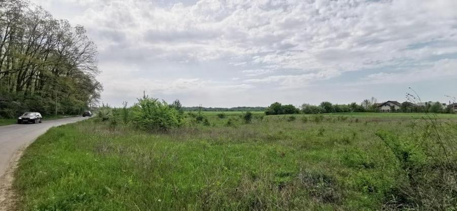 Corbeanca Padure Teren 1000mp - 1