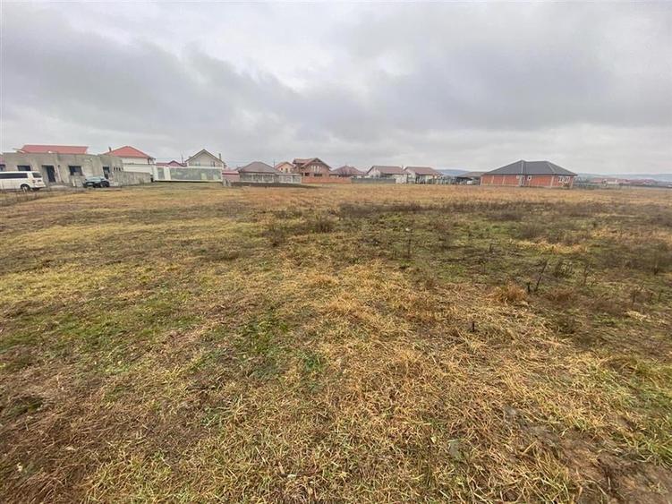 RECO teren Episcopia - 2