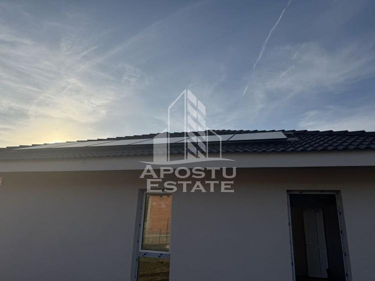 Casa individuala in Petrovaselo - 10