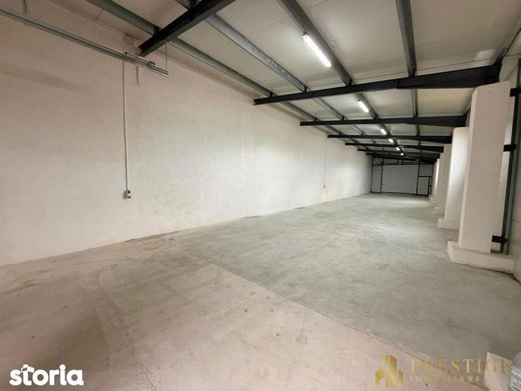 Hala 500 mp de inchiriat in Livada la 5 min de Aeroportul Oradea - 3