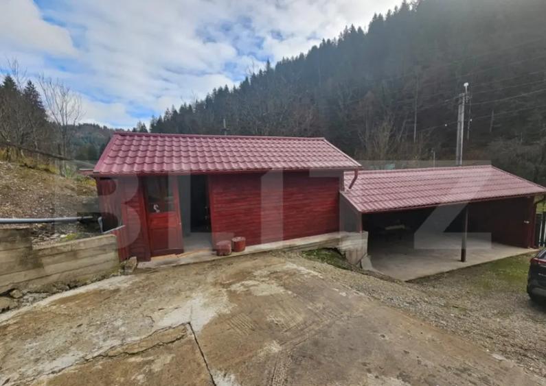 Lini?te, Natura ?i Spa?iu Casa Ideala cu 6 camere, - 12