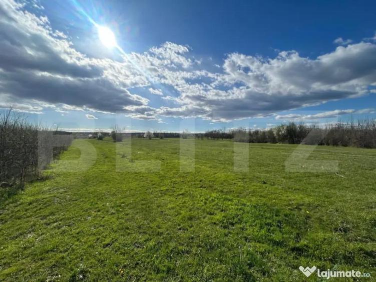 TEREN | RANCACIOV | 2000 MP | 700 INTRAVILAN | - 4