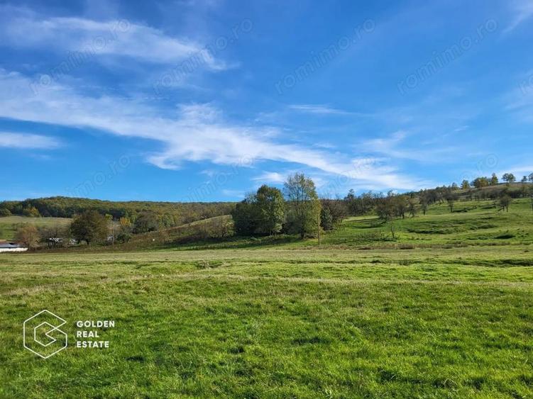 Teren intravilan 2014 mp, localitatea Cuvesdia - 1