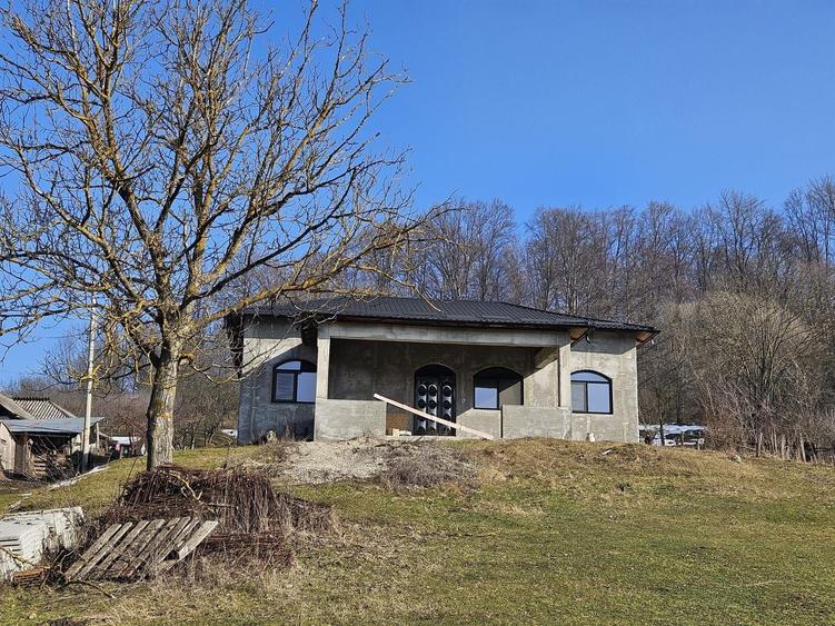 Casă pe platou, liniște și natură – Boțești, Argeș - 10