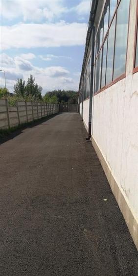 Hala  Brasov Zona Bartolomeu - 8