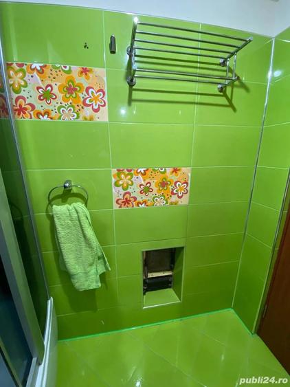 Proprietar, vand apartament cu 2 camere in Baile Herculane - 3