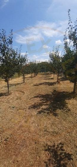 0% Comision - 2095 mp TEREN INTRAVILAN - SERBOENI ARGES - 4