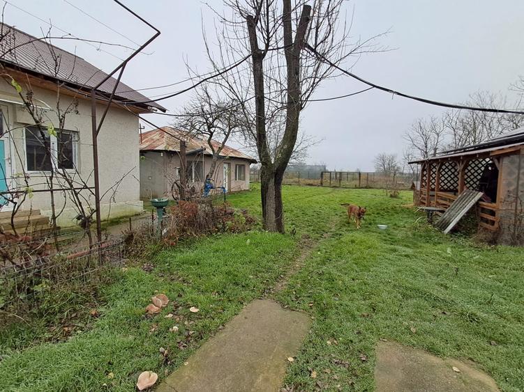 Casa de vanzare (inclus teren 5000 mp) - 4