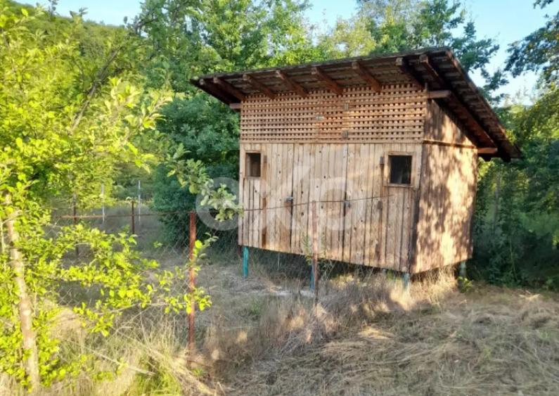 Casa la ?ara complet mobilata, 5.500 mp teren Topli? - 14