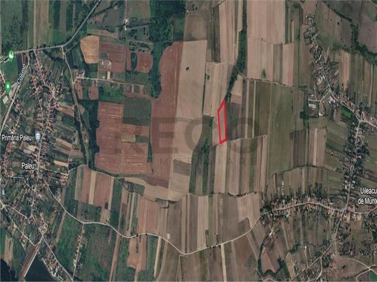Teren mare extravilan in Uileacu de Munte - 5