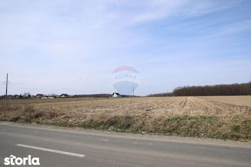 Teren 9,740mp Suceava / Strada Principala - 3